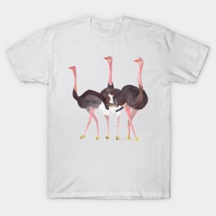 Ostriches T-Shirt
